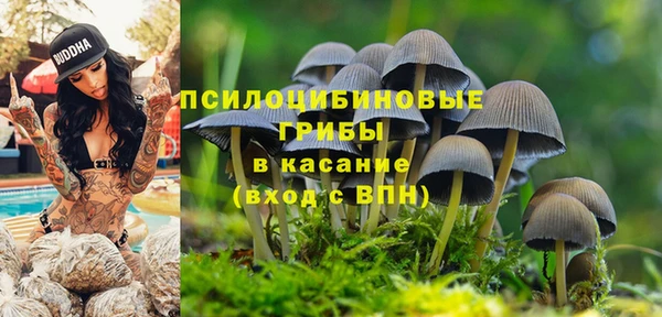 таблы Алзамай
