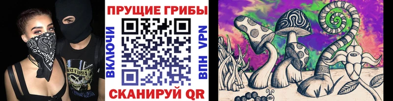 наркошоп  Астрахань  Псилоцибиновые грибы ЛСД 